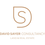 David Sayer Consultancy